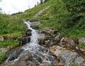 Bottom view of a mountain stream with waterfalls and green plants around