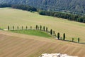 Top view of road with avenue trees and large fields Royalty Free Stock Photo