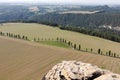 Top view of road with avenue trees and large fields Royalty Free Stock Photo