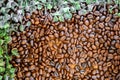 Top view roasted coffee beans background and texture with green leaves Royalty Free Stock Photo