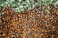 Top view roasted coffee beans background Royalty Free Stock Photo