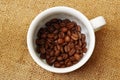 Top view of roasted coffee beans in white cup on burlap  background Royalty Free Stock Photo