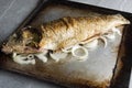 Fresh cooked carp fish,onion rings, rustic kithcen tray.Delicious homemade seafood