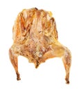 top view of roasted whole flattened quail isolated Royalty Free Stock Photo