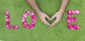 Top View rose petals in a row of love with hand heart. Valentine day concept