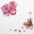 top view roses flowers. High quality beautiful photo concept Royalty Free Stock Photo