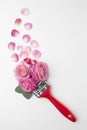 top view roses flowers painting brush. High quality photo