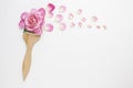 top view roses flowers painting brush. High quality photo