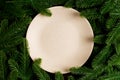 Top view of round festive plate on fir tree background. Christmas dish concept with empty space for your design Royalty Free Stock Photo