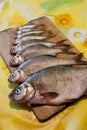 Top view. Row of fresh river fish of different sizes on wooden c