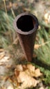 Top view of rusty metal pipe end Royalty Free Stock Photo