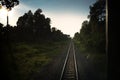 Top view of the rusty rails crossing the green field in a summer day , Northern Railway Thailand Royalty Free Stock Photo