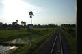 Top view of the rusty rails crossing the green field in a summer day , Northern Railway Thailand Royalty Free Stock Photo