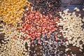 Top view of s dried colorful corn kernel piles on a wooden table Royalty Free Stock Photo