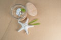 Sand beach with sea star and shells in glass jar Royalty Free Stock Photo