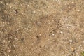 Top view of a sand road texture with tiny stones on the surface