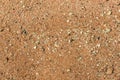 Top view of sandy beach. Background with copy space and visible sand texture Royalty Free Stock Photo