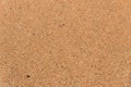 Top view of sandy beach. Background with copy space and visible sand texture Royalty Free Stock Photo