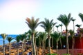 Sandy beach. Palm trees and stunning landscape of the Red Sea. Wicker umbrellas and sun loungers for holidaymakers Royalty Free Stock Photo