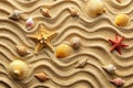 Top view of sandy beach with seashells Royalty Free Stock Photo