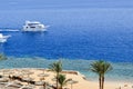 Top view of a sandy beach with sunbeds and sun umbrellas and two large white ships, a boat, a cruise liner floating in the sea on Royalty Free Stock Photo