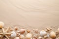 Top view of a sandy beach with various seashells and starfish on one side, copy space. Vacation, holiday background Royalty Free Stock Photo