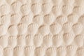 Top view of a sandy texture with imprints of mollusks as natural textured background Royalty Free Stock Photo