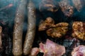 Top view of sausage and meat grilling on barbecue Royalty Free Stock Photo