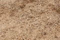 Top view. Saw dust texture, close-up background of yellow sawdust Royalty Free Stock Photo