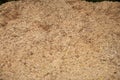 Top view. Saw dust texture, close-up background of yellow sawdust Royalty Free Stock Photo