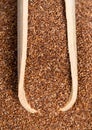 Top view of scoop wholegrain teff seeds closeup Royalty Free Stock Photo