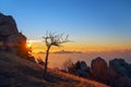 A top view of the sea with fog at sunrise from the mountains Royalty Free Stock Photo