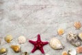 Top view sea shells Royalty Free Stock Photo