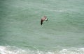 Top view of a seagull flying over the water along the seashore Royalty Free Stock Photo