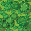 Top view seamless forest