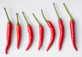 Top view set of fresh red chili or peppers isolated on white background with clipping path. Hot spices Royalty Free Stock Photo