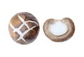 Top view set of fresh shiitake mushroom with halves or slices isolated on white background with clipping path Royalty Free Stock Photo