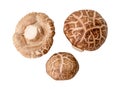 Top view set of Fresh shiitake mushrooms isolated on white background with clipping path. Japanese and Chinese herb Royalty Free Stock Photo