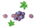 Top view set of small bunch of fresh red grapes with half and green leaves isolated on white background with clipping path Royalty Free Stock Photo