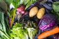Top view of set vegetables with  Grapes, Swichards, Carrots, Kale, Potatoes, Radish, Purple Cabbage, lettuce on a white table. Royalty Free Stock Photo