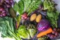 Top view of set vegetables with  Grapes, Swichards, Carrots, Kale, Potatoes, Radish, Purple Cabbage, lettuce on a white table. Royalty Free Stock Photo