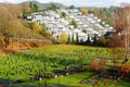 Top view of a settlement and cemetery Royalty Free Stock Photo