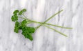 Curly parsley sprigs on a marble cutting board