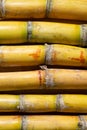 top view several pieces of sugarcane vertical composition