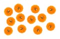 A top view of several small pie pumpkins