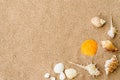 Top view of shell on sand beach background for summer Royalty Free Stock Photo
