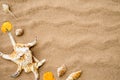 Top view of shell on sand beach background for summer Royalty Free Stock Photo