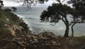 Top view at Shelley Cove near Bunker Bay, Eagle Bay and Dunsborough city in Western Australia with a tree in cloudy weather Royalty Free Stock Photo