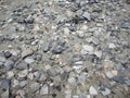 Top view shot of broken seashells and stones in the shore