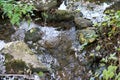 Top view shot clear water flowing downstream in a forest